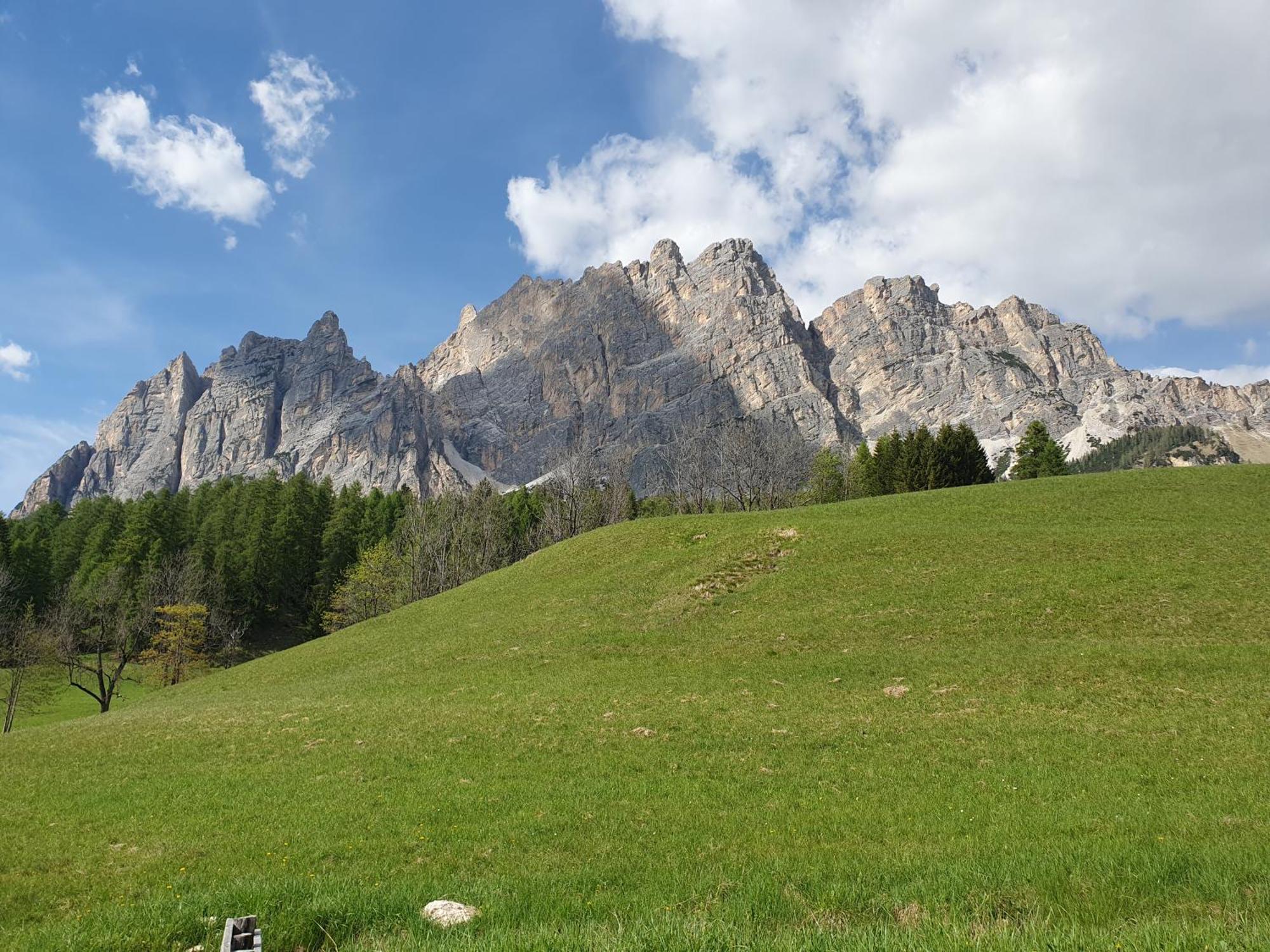 Daniela Apartment Cortina dʼAmpezzo Eksteriør billede